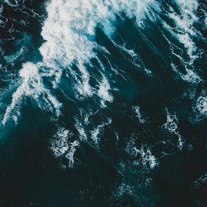 Aquatic