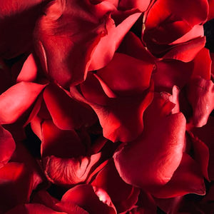 Turkish Rose