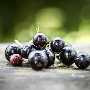 Blackcurrant